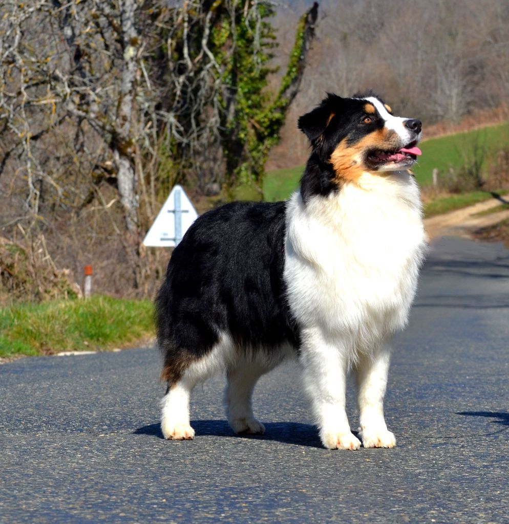 Shine Ever Remballe ta caisse