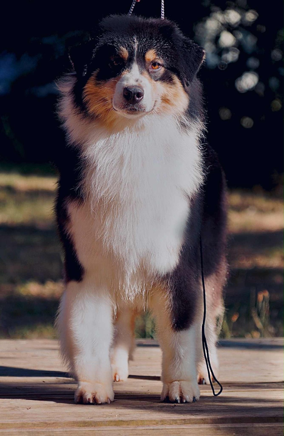 Shine Ever Un dernier clone