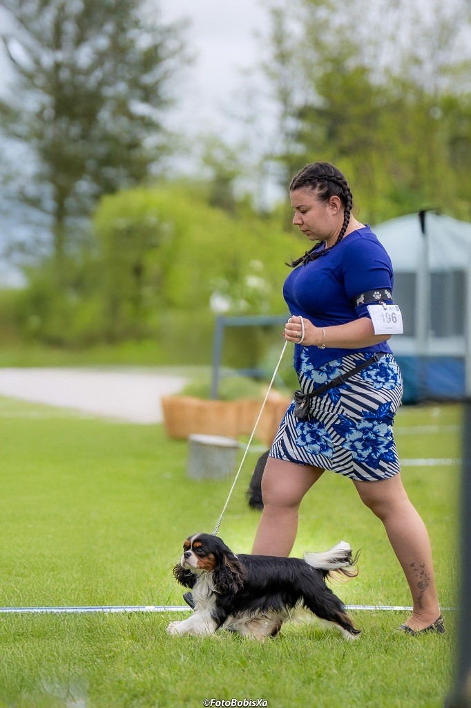 Shine Ever - Prochains bébés pour 2026